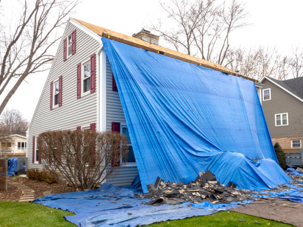 Best Steel Siding Installation  in Delta, UT
